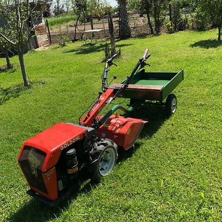 Luxury Garden بيت ضيافة *