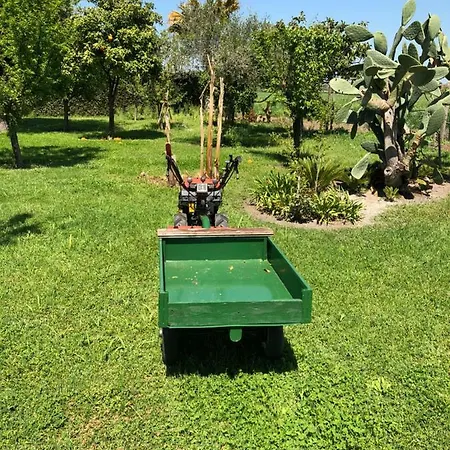بيت ضيافة Luxury Garden