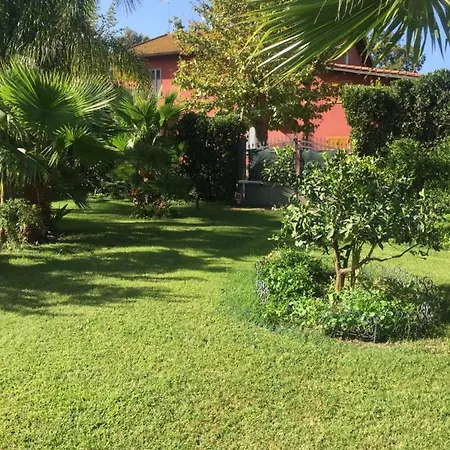 Luxury Garden * فيوميتشينو
