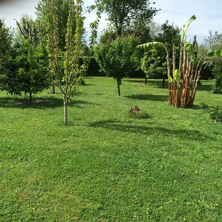 بيت ضيافة Luxury Garden فيوميتشينو