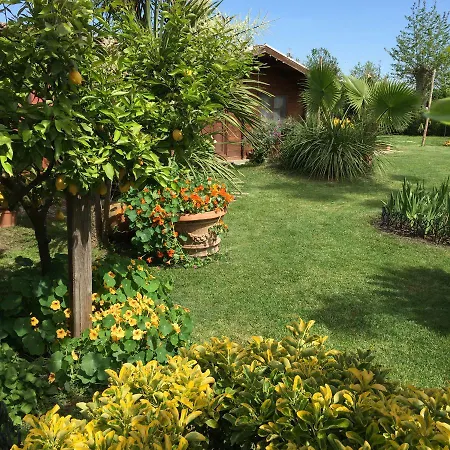 Luxury Garden فيوميتشينو